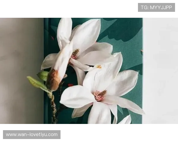 斯图尔特感慨连胜是度过艰难岁月后迎来的最珍贵美好回馈时刻动人